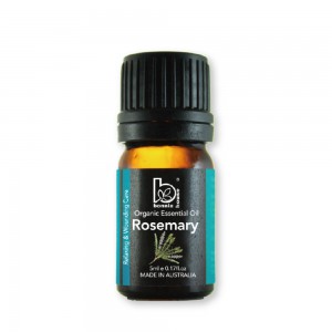 Rosemary Essential Oil 5ml