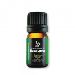 Eucalyptus Essential Oil 5ml