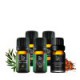 Essential Oils Singles
